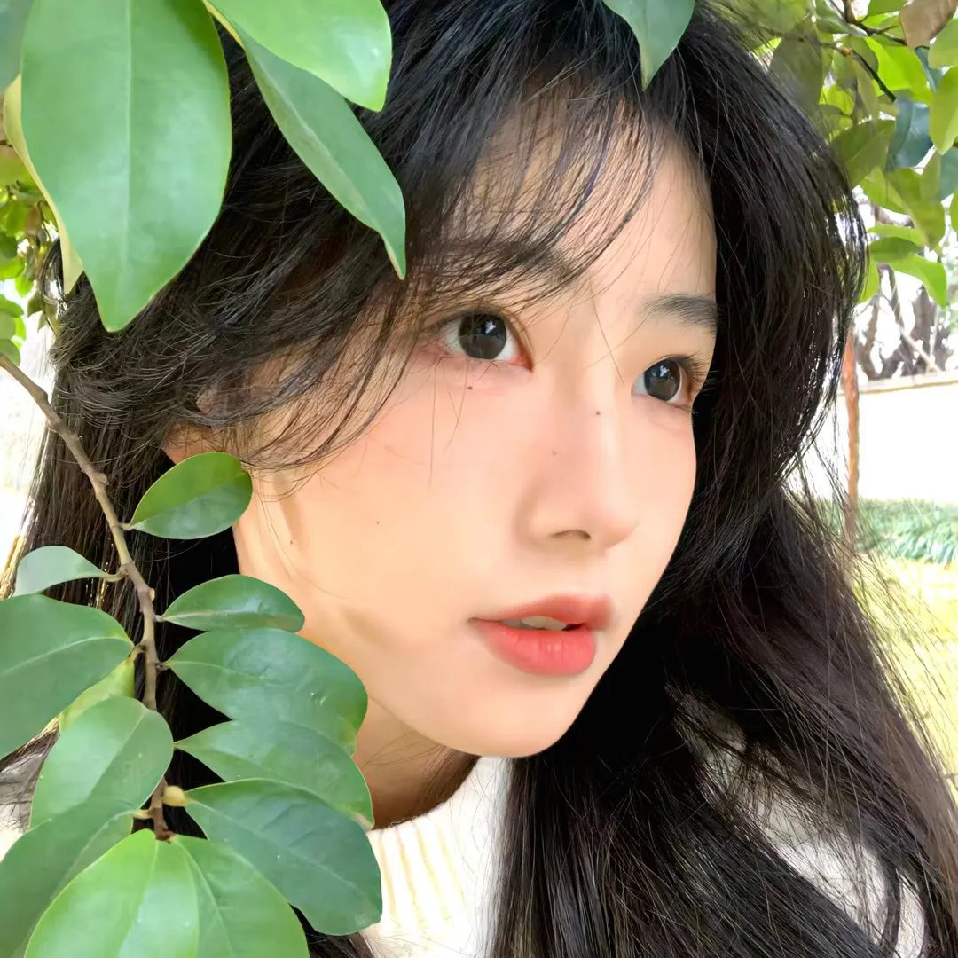 碧窗艳影